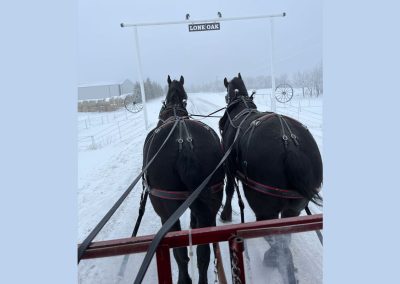Lone Oak Percherons - horses and farm sign in winter